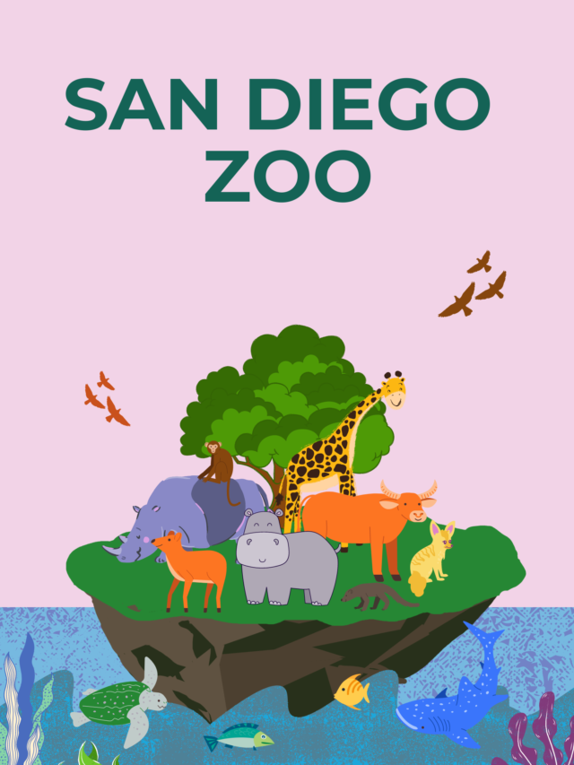 Top 10  San Diego Zoo Exhibits and Attractions