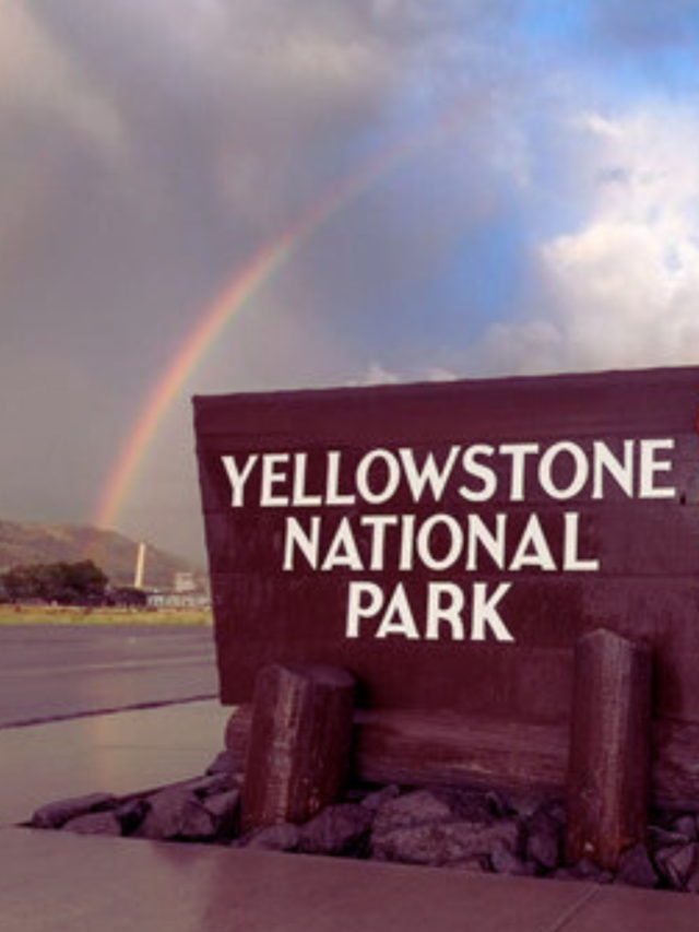 10 Things to Do in Yellowstone National Park