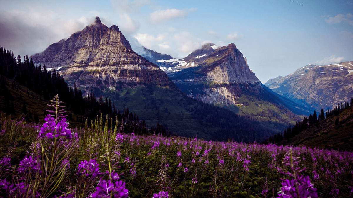 Glacier National Park Lodging