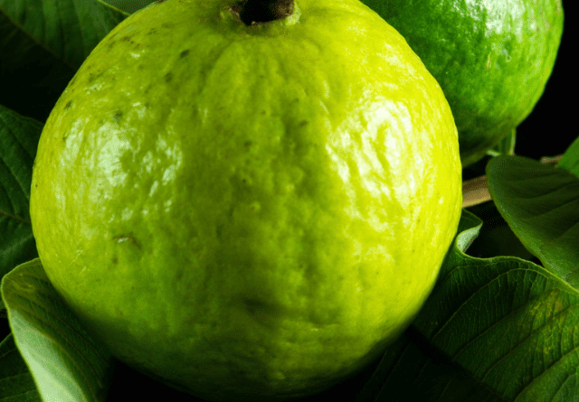 Guava