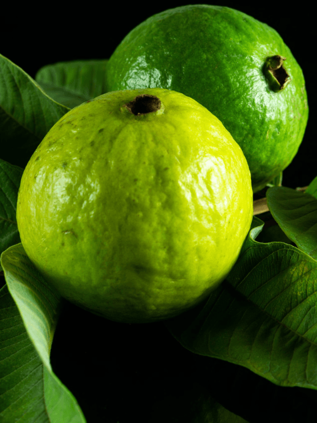 8 Health Benefits of Guava Fruit and Leaves