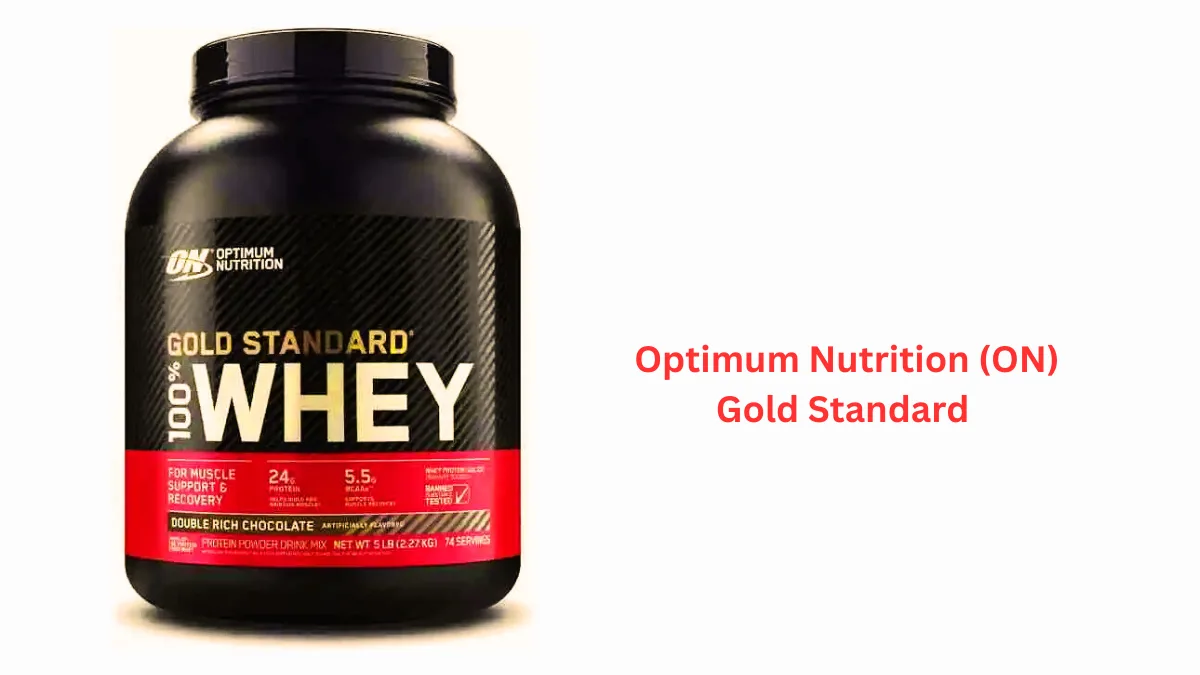 Top 10 best protein powders in India