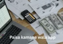Paisa Kamane Wala App