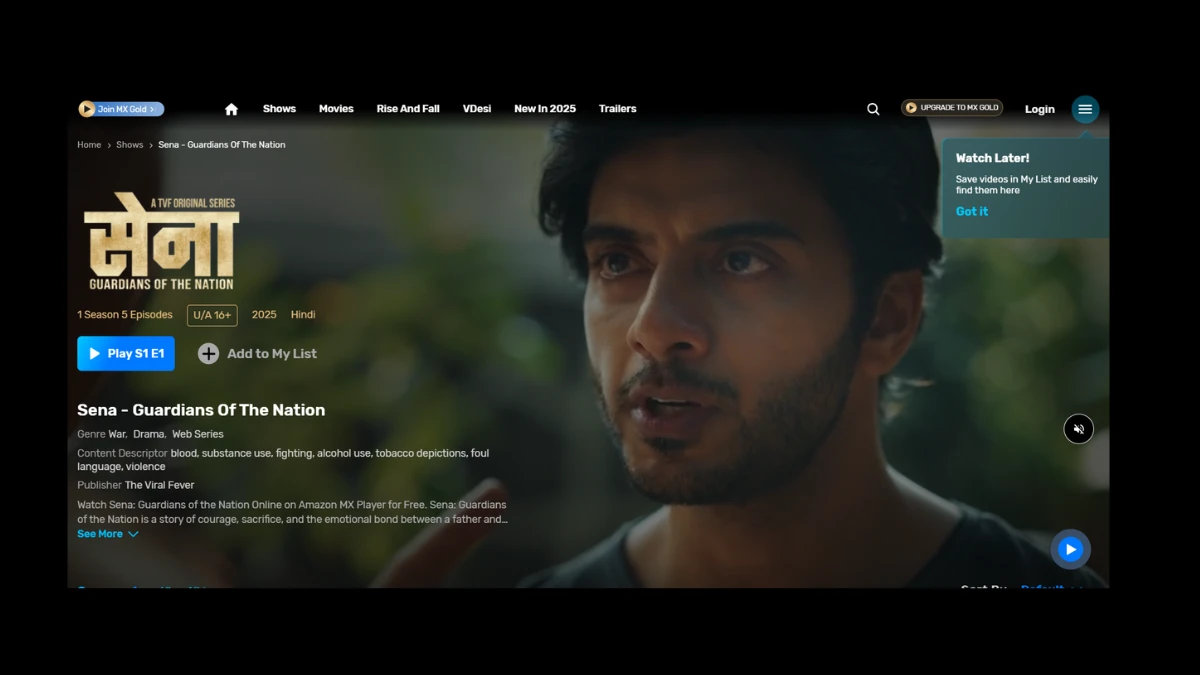 New Hindi Web Series 2025